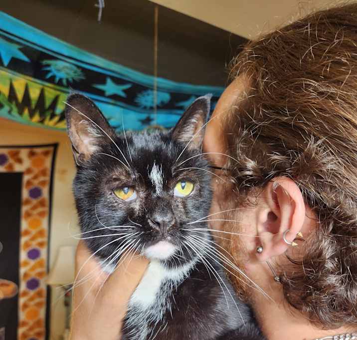 Photo of Elvira