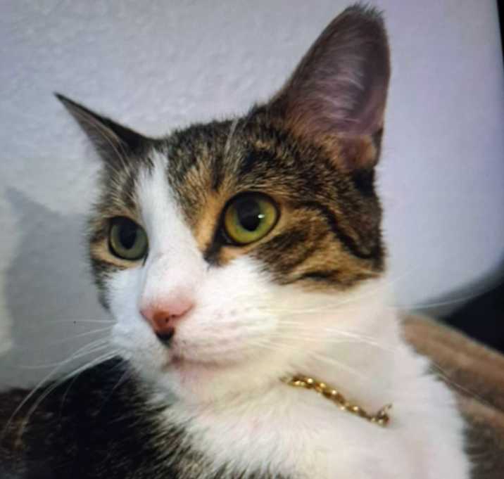 Photo of Indi