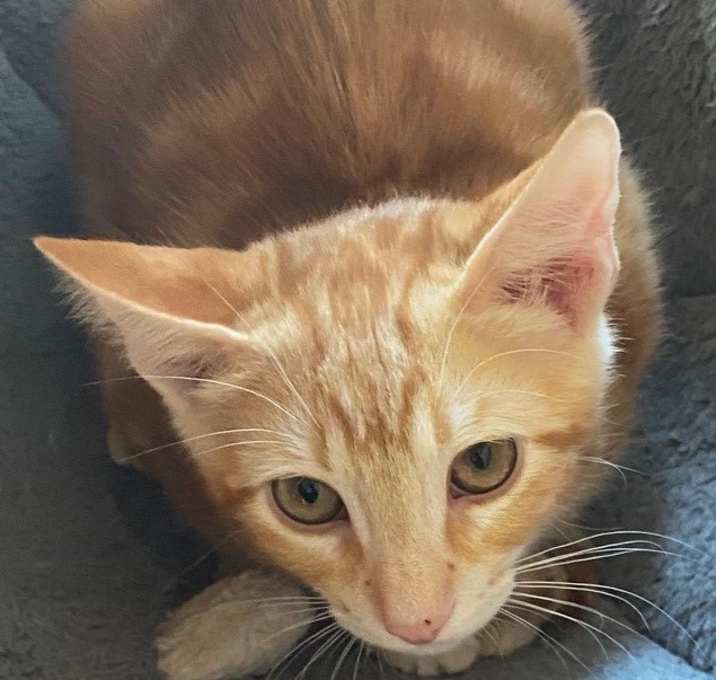 Photo of Duncan