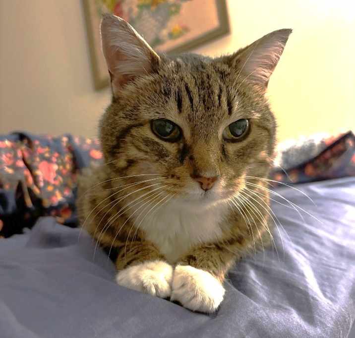 Photo of Boots