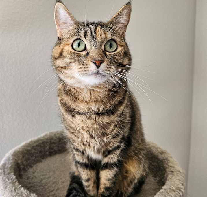 Photo of Bereet