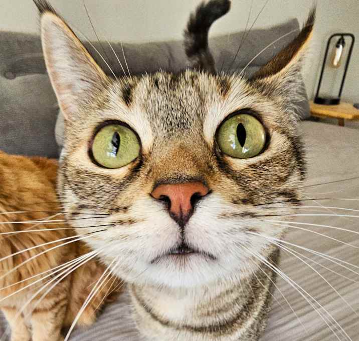 Photo of Jean Grey