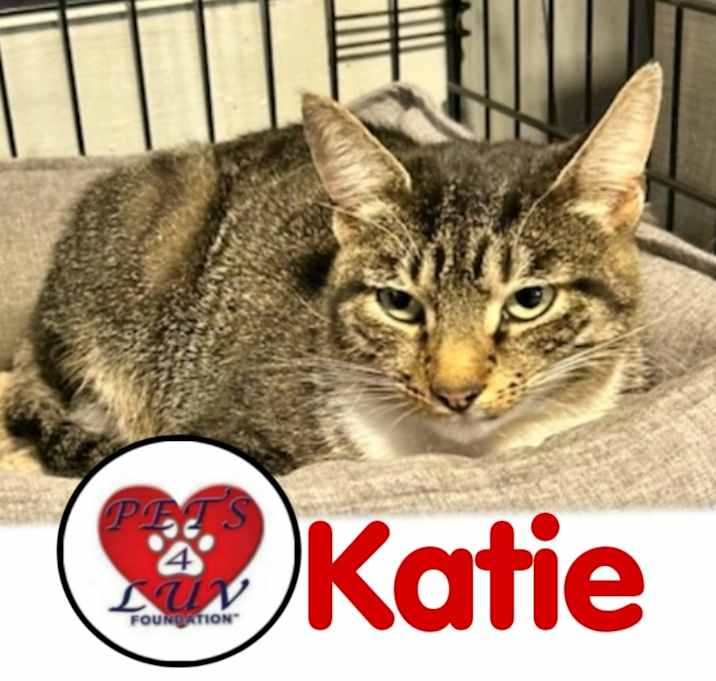 Photo of Katie JVC