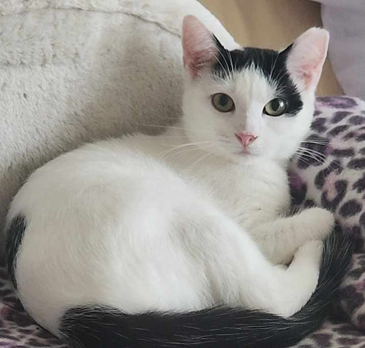 Photo of Louisa