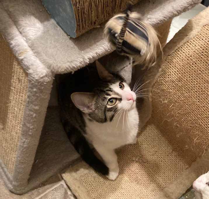 Photo of Sheldon