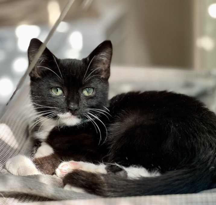 Photo of Obie