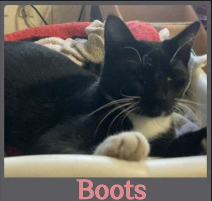 Photo of BOOTS