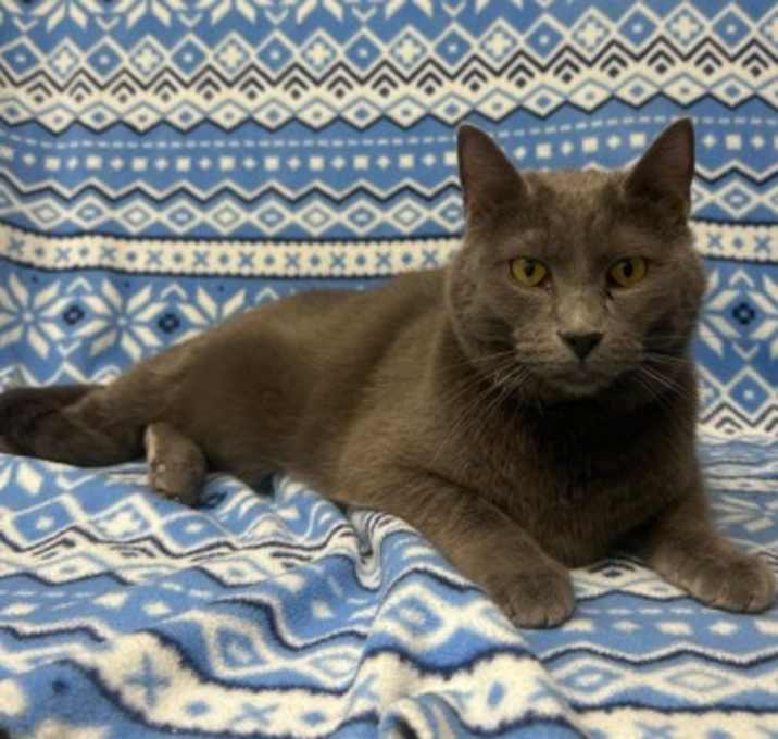 Photo of Cypress