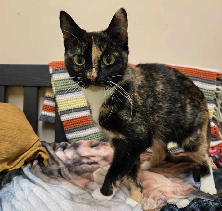Photo of Wilma