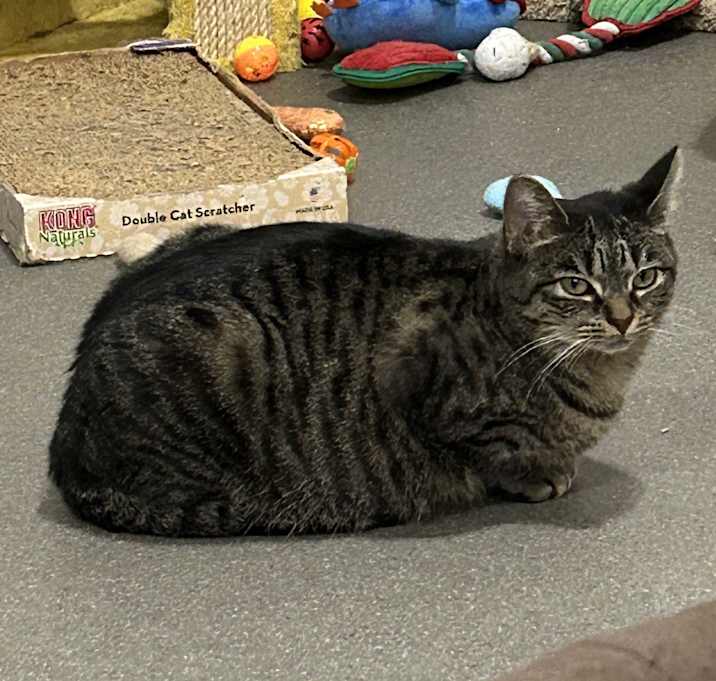 Photo of Biggie