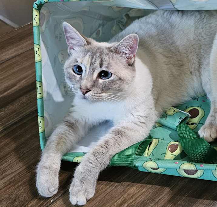 Photo of Rhea