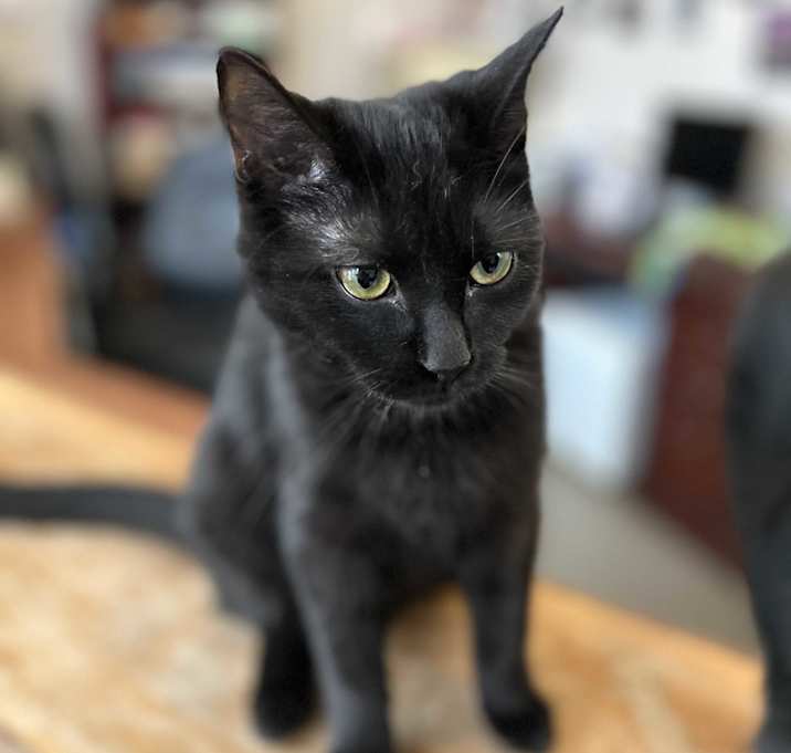Photo of Rena