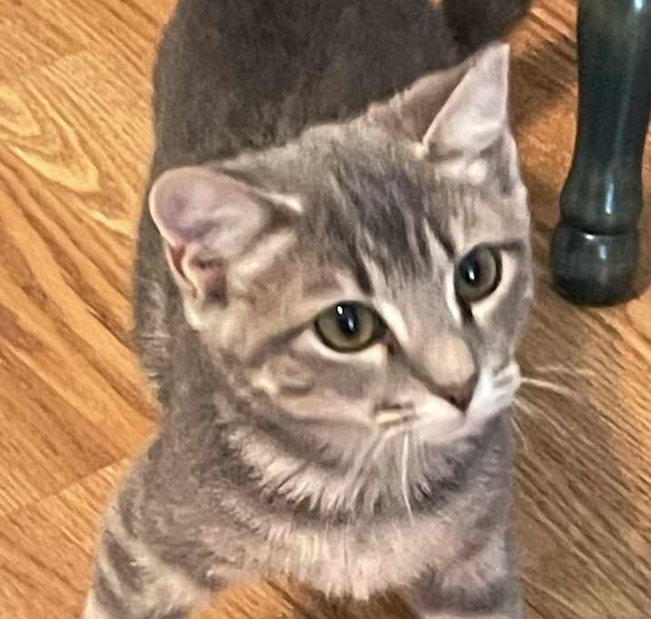 Photo of KayKay