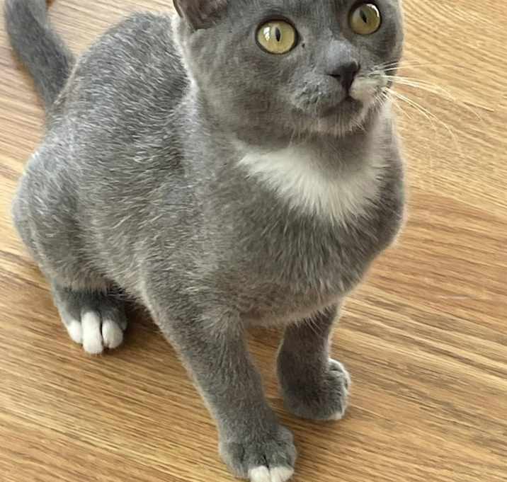 Photo of Cece
