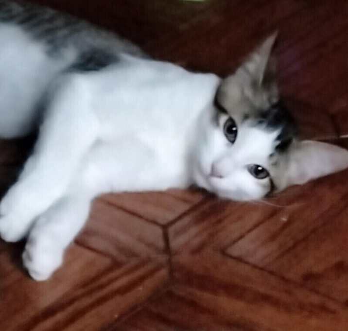 Photo of Zeke