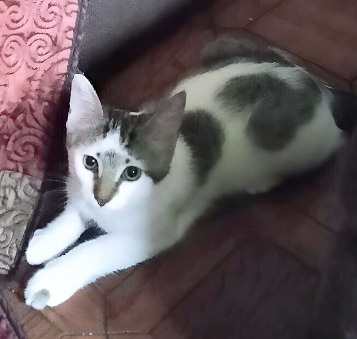 Photo of Zak