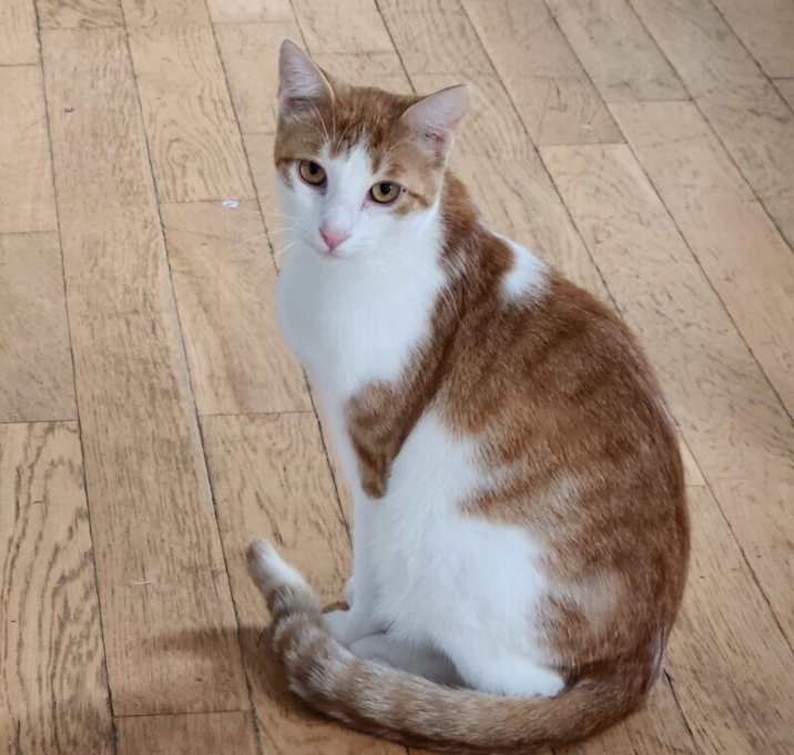 Photo of Sheldon