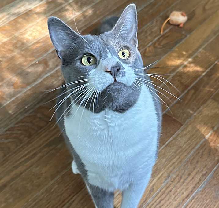 Photo of Zoe