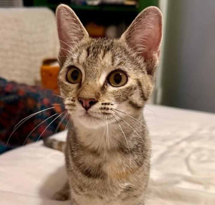 Photo of Charity