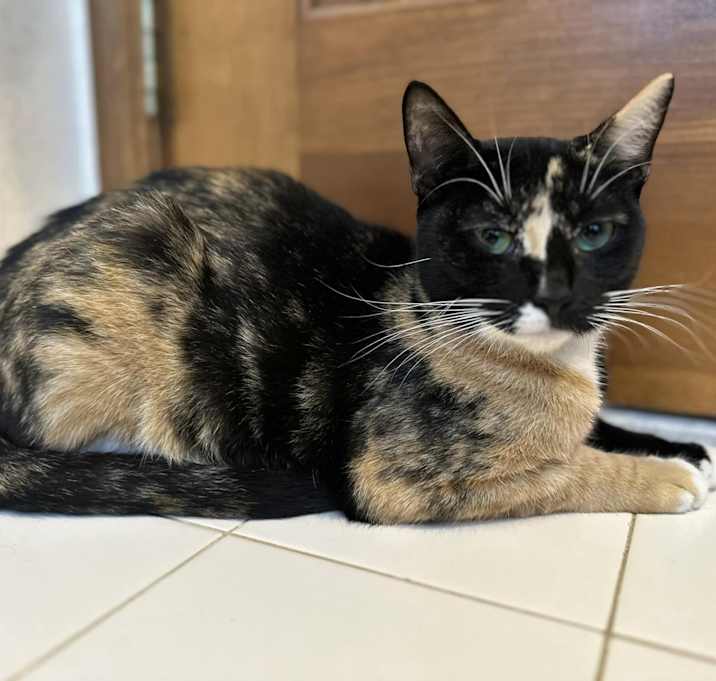 Photo of Wendy