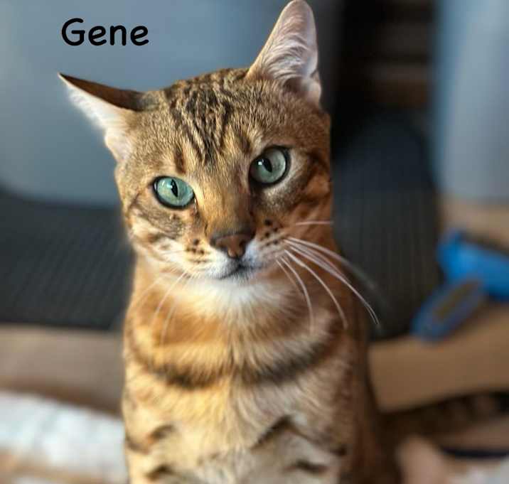Photo of Gene