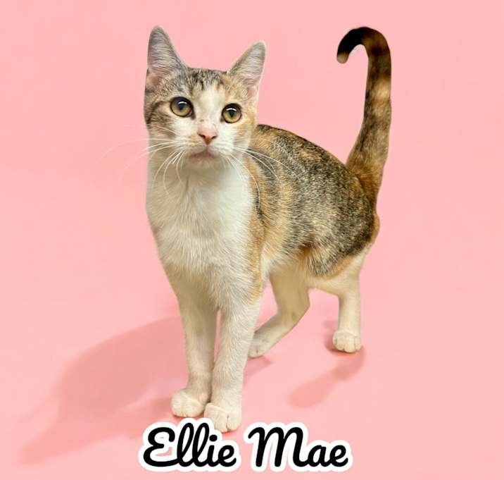Photo of Ellie Mae