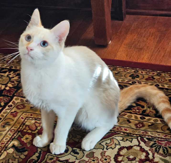 Photo of Spence
