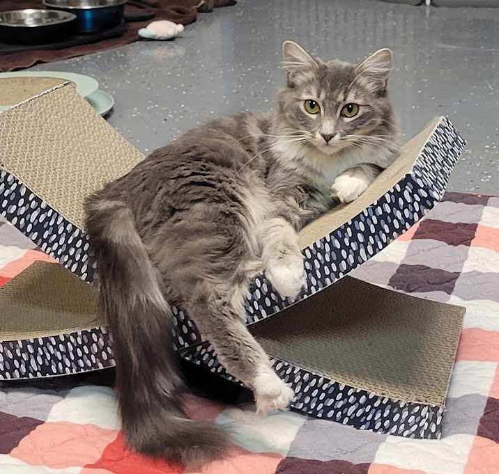 Photo of Princess