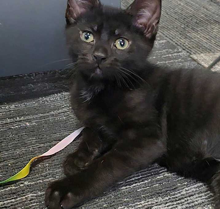 Photo of Cash