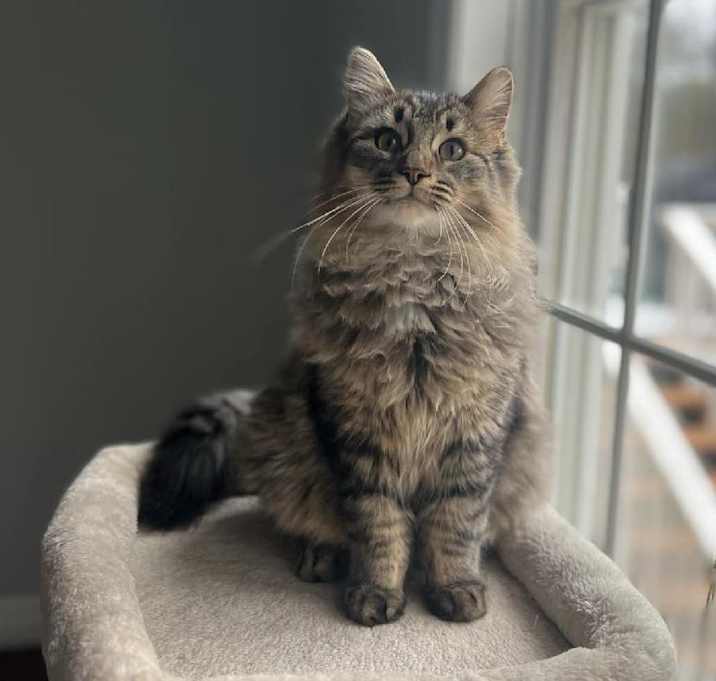 Photo of Salem