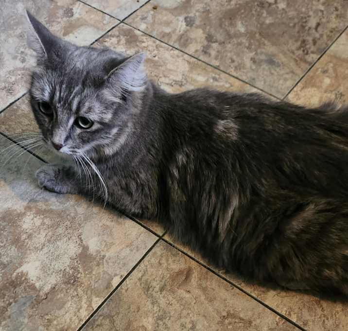 Photo of Butters