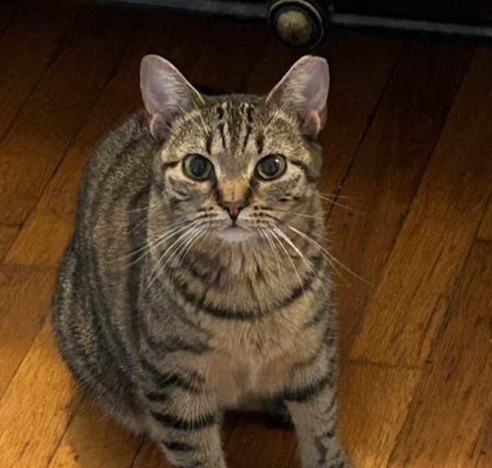 Photo of Todd