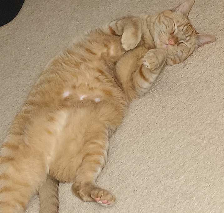 Photo of Burt