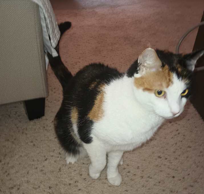 Photo of Sally