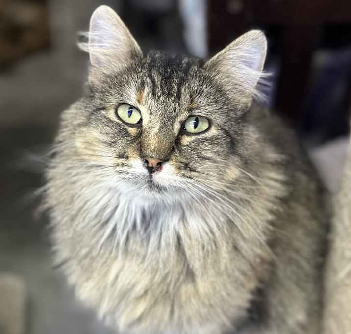 Photo of Philomena