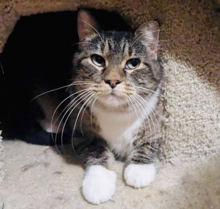 Photo of Little