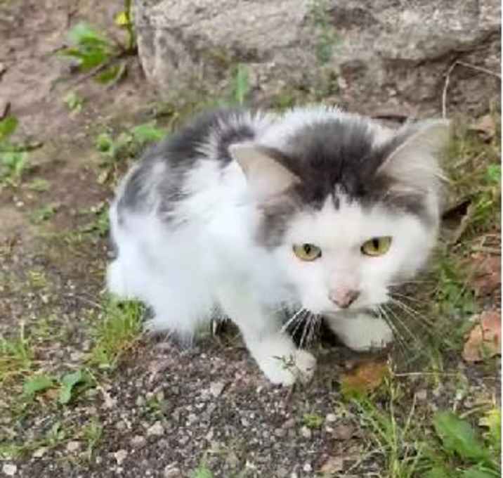 Photo of Mr Handsome