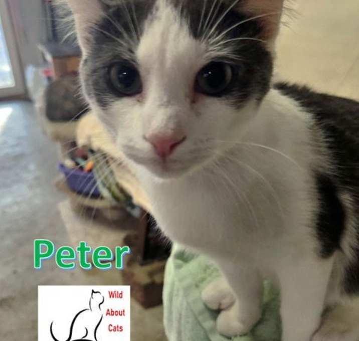 Photo of Peter