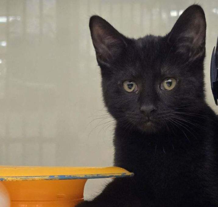 Photo of Missy