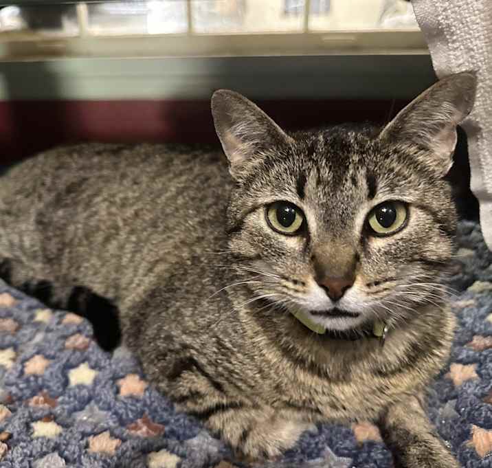 Photo of Little Miss