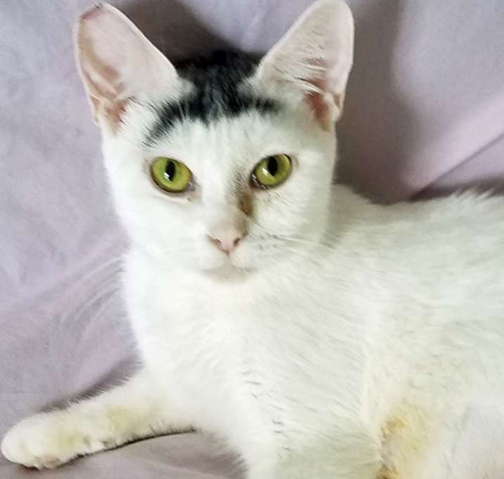 Photo of Princess