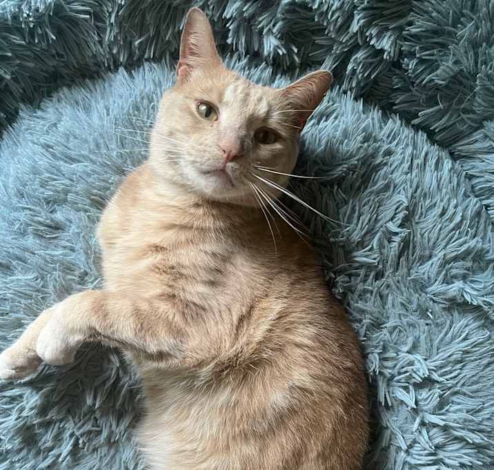 Photo of Wally