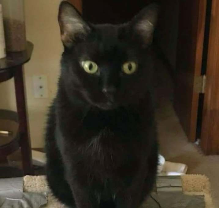 Photo of Moxie