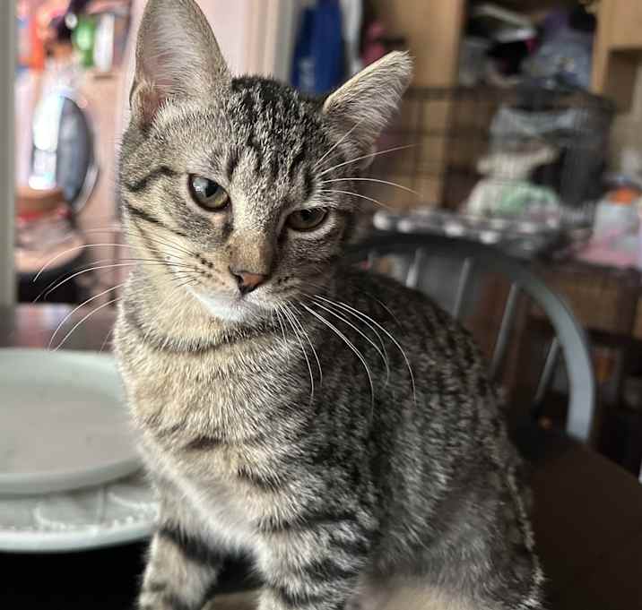 Photo of Shirley