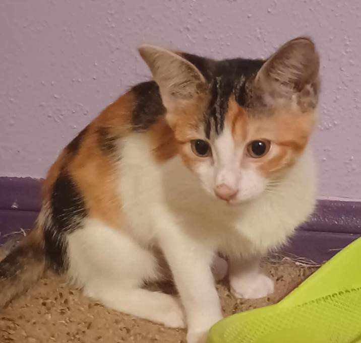Photo of Sasha