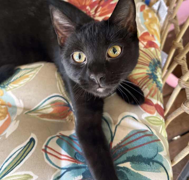 Photo of Tina