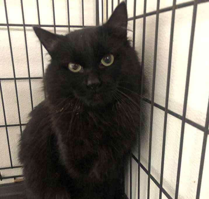 Photo of Flint