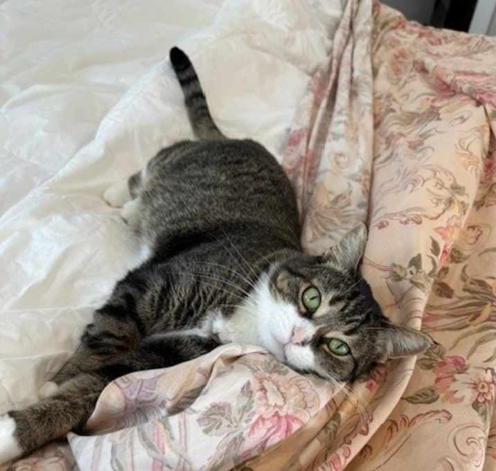Photo of Katie