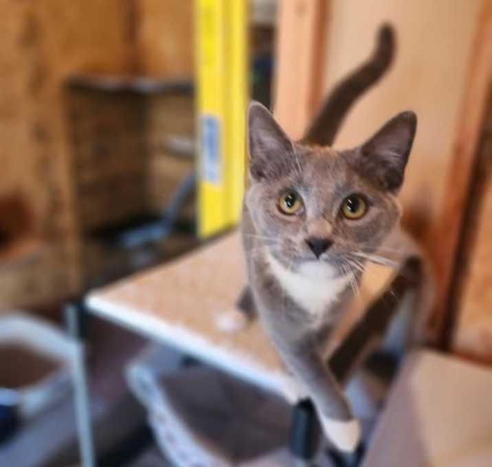 Photo of Asher