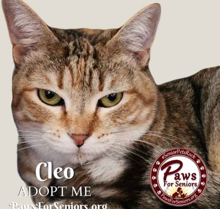 Photo of Cleo